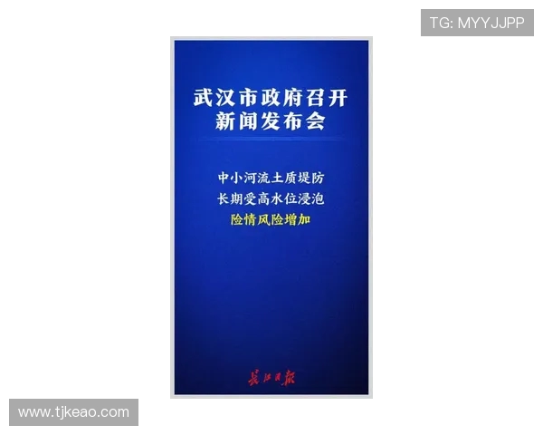 武汉极限运动队的转型之路与挑战分析及未来展望