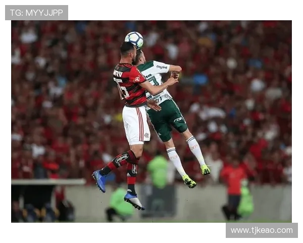 圣菲联合迎战老虎竞技争夺联赛关键三分的激烈对决 圣菲联合迎战老虎竞技争夺联赛关键三分的激烈对决